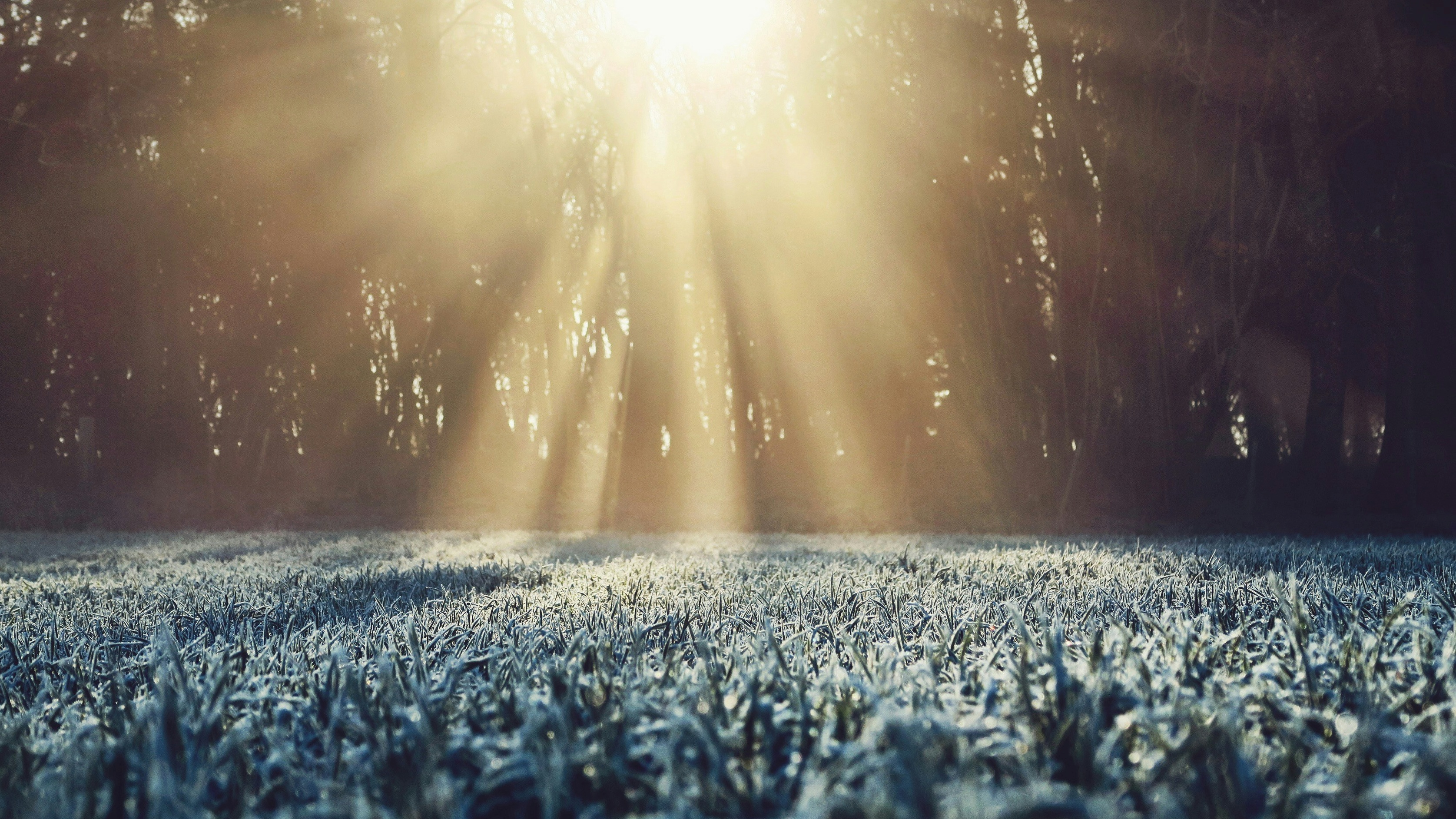 Lesz még a héten havazás? – Megérkezett a hétvégi időjárás-előrejelzés: erre készülj