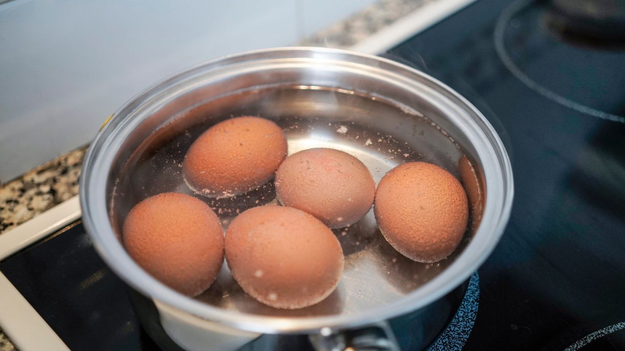 tojás, fotó: Getty Images