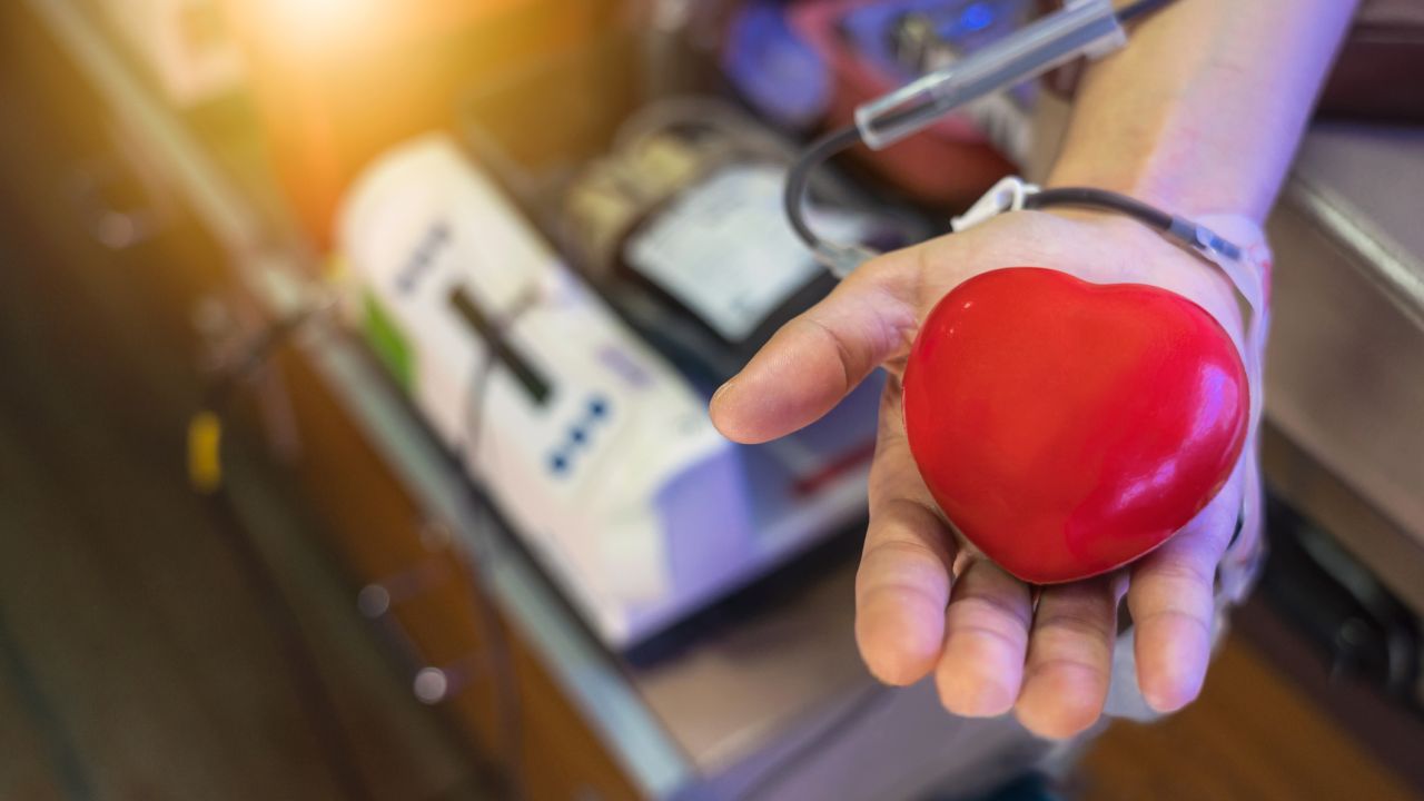 Egész évben fontos a vér!