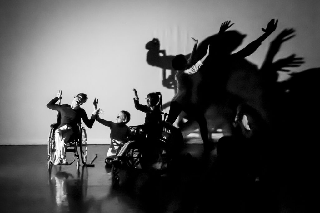 Fotó: Csillag Zsuzsanna