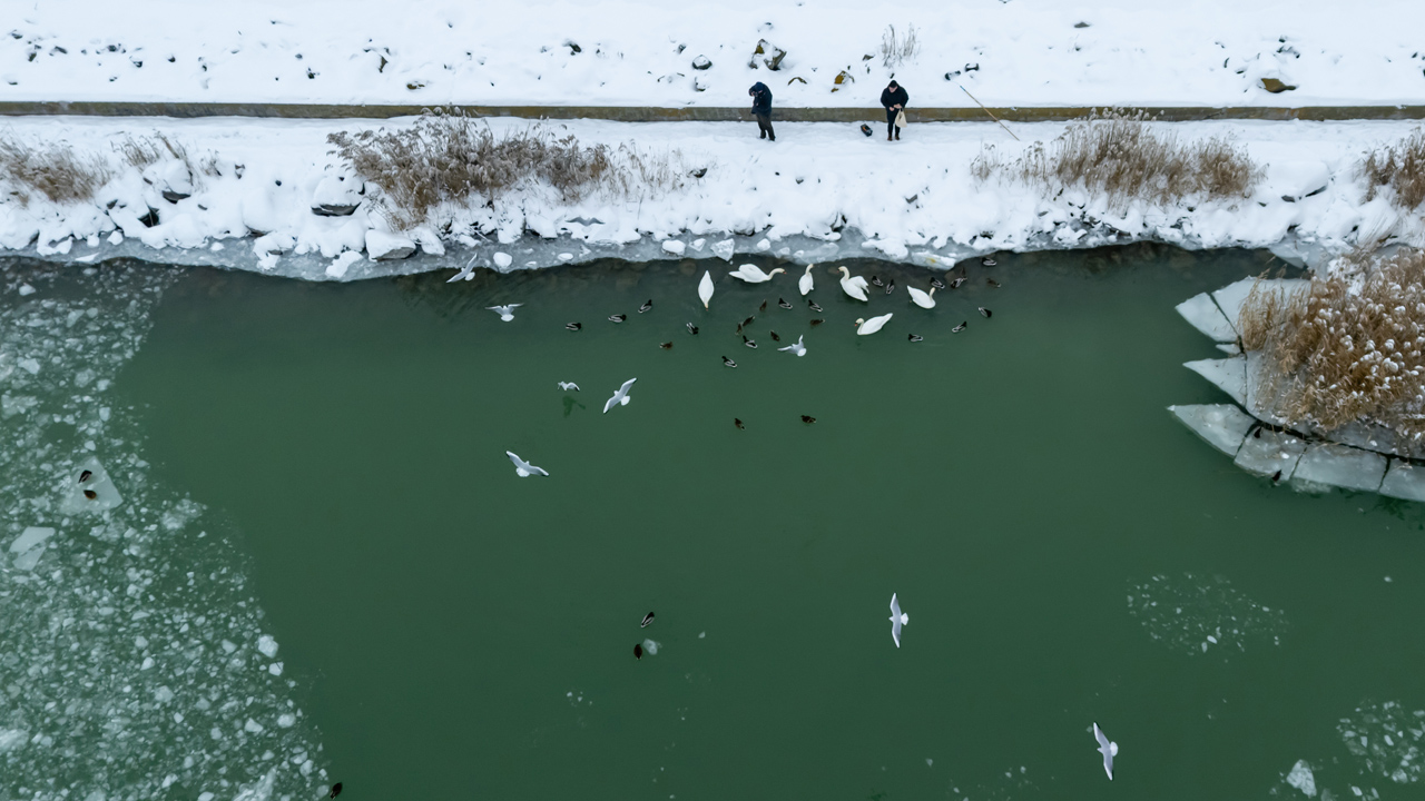 Balaton - fotó: MTI/Vasvári Tamás