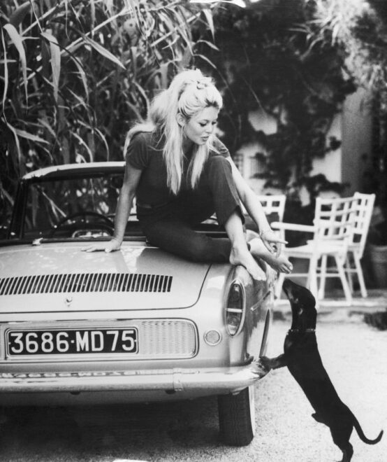 Brigitte Bardot egy Renault motorháztetején ülve játszik tacskó kutyájával St.Tropez-i villája kertjében, 1962-ben. Kép: Getty