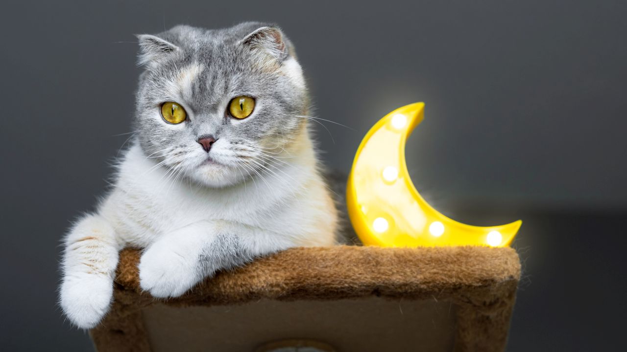 Csodás fordulatokat hozhatnak a Nyilas és Bak holdenergiái