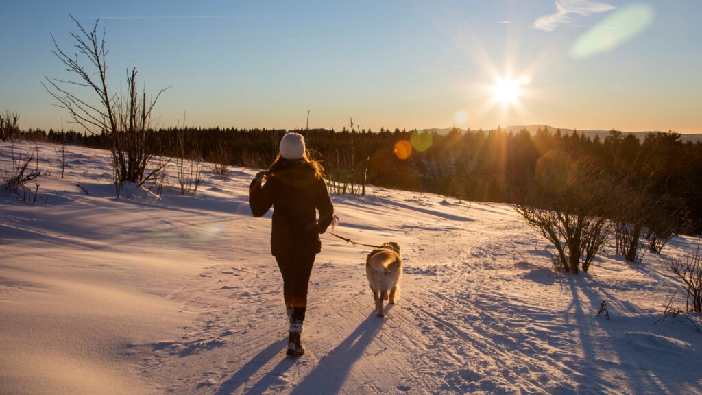 Kardiológus: a legjobb testmozgás, amit a szívünkért tehetünk