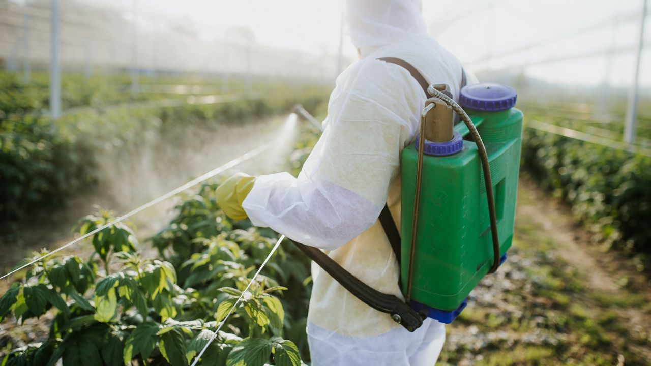 permetezés - fotó: Getty Images