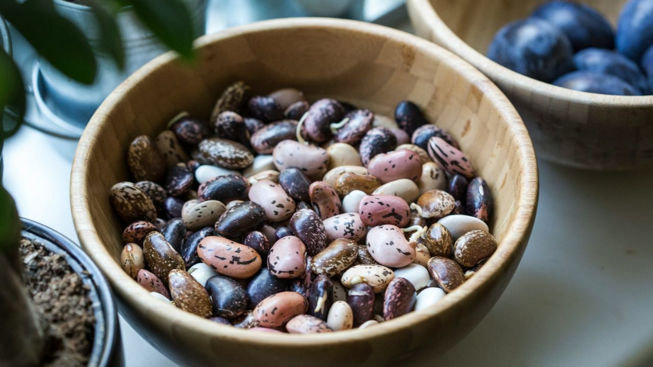 bab egy tálban, fotó: Unsplash