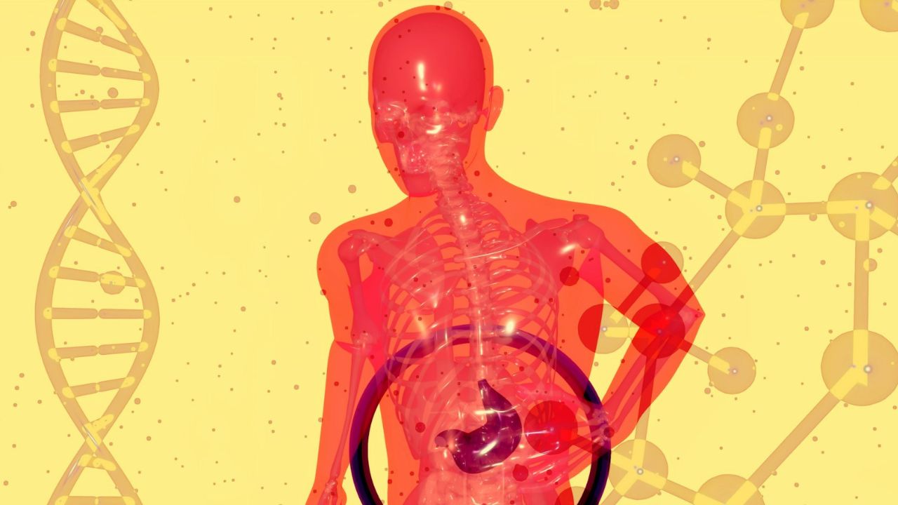 zsírmáj, fotó: Unsplash