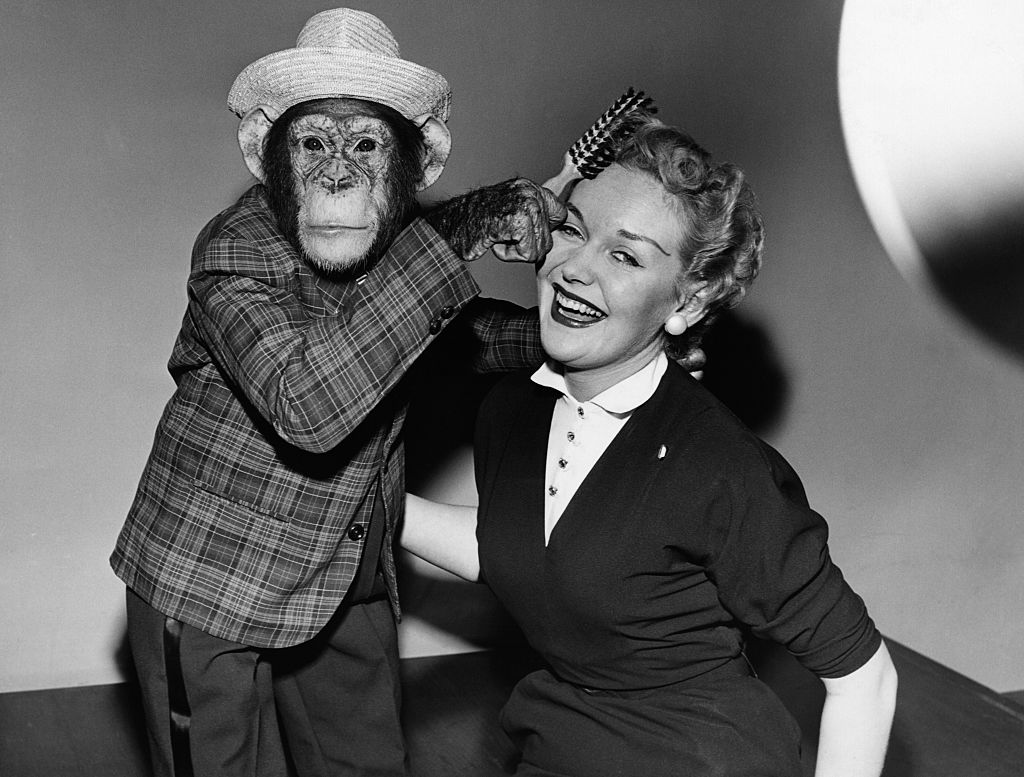 Horrorisztikus kísérlet: ember-majom hibridet próbált létrehozni a megszállott szovjet tudós