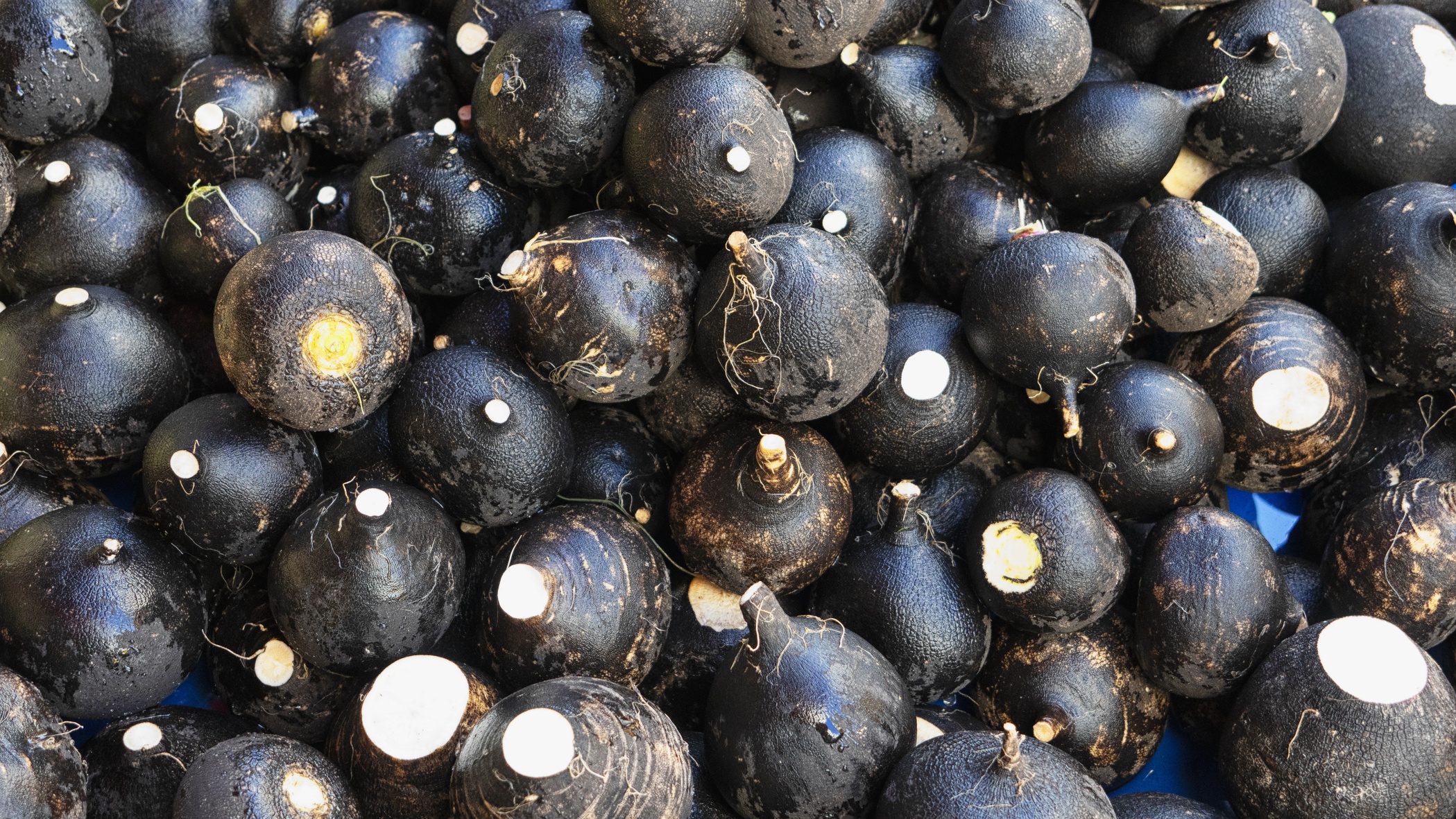 Olcsóbb, mint egy kiló kenyér, mégis igazi csodaszer a szervezetnek – alig kerül a tányérunkra