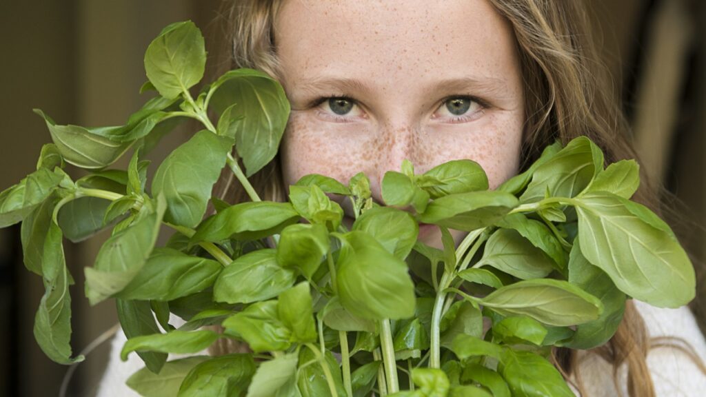 Kislány friss bazsalikomot szagol