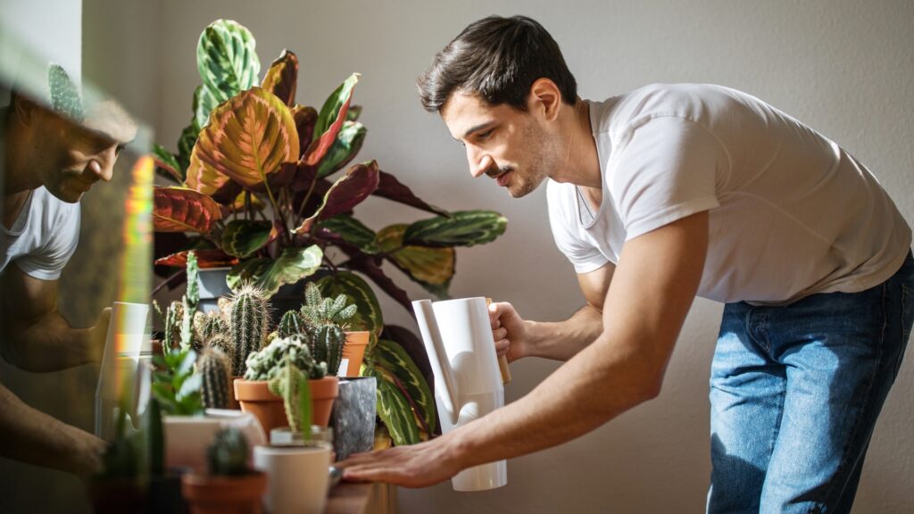 6 öntözési hiba, amely lassan tönkreteszi a szobanövényeidet