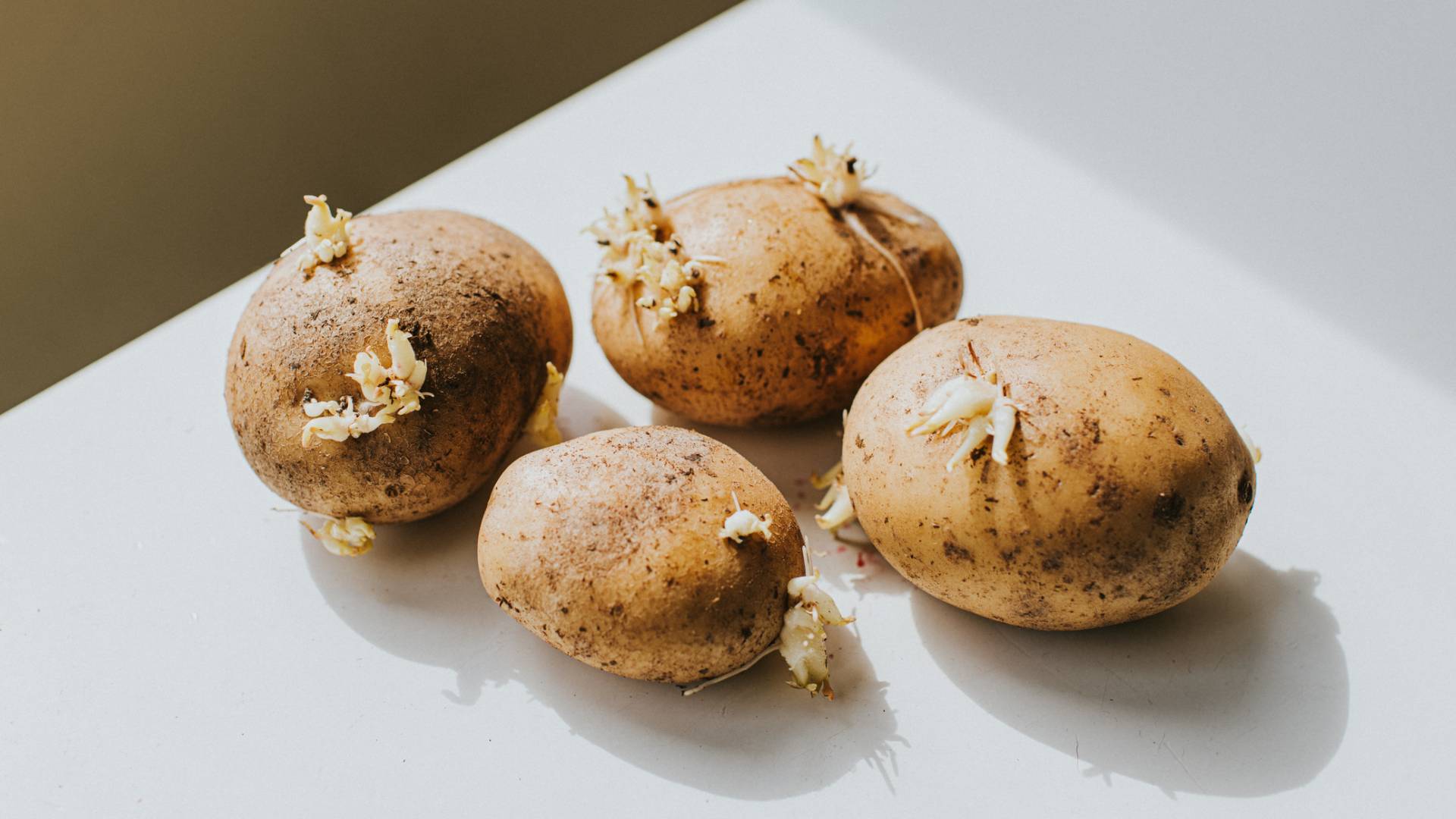 Ehető a csírázott burgonya? Elmondja a szakértő