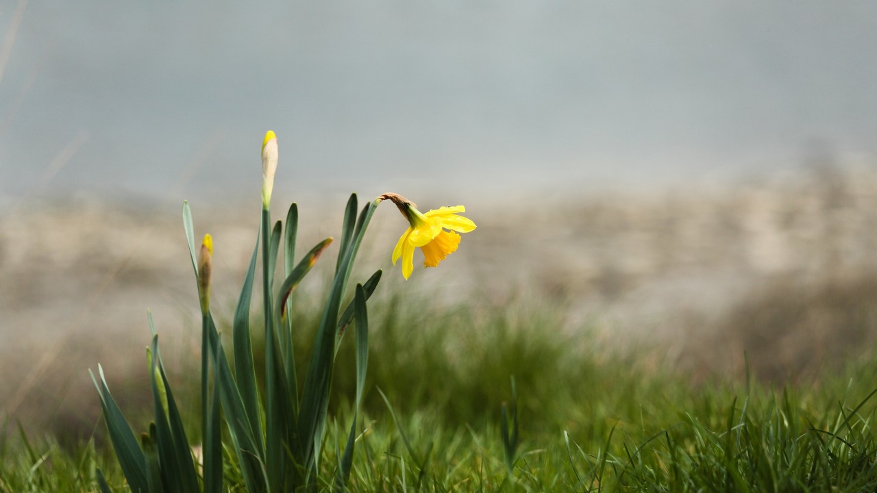 Aztrológia: különleges fordulat jön, ezt hozza a március