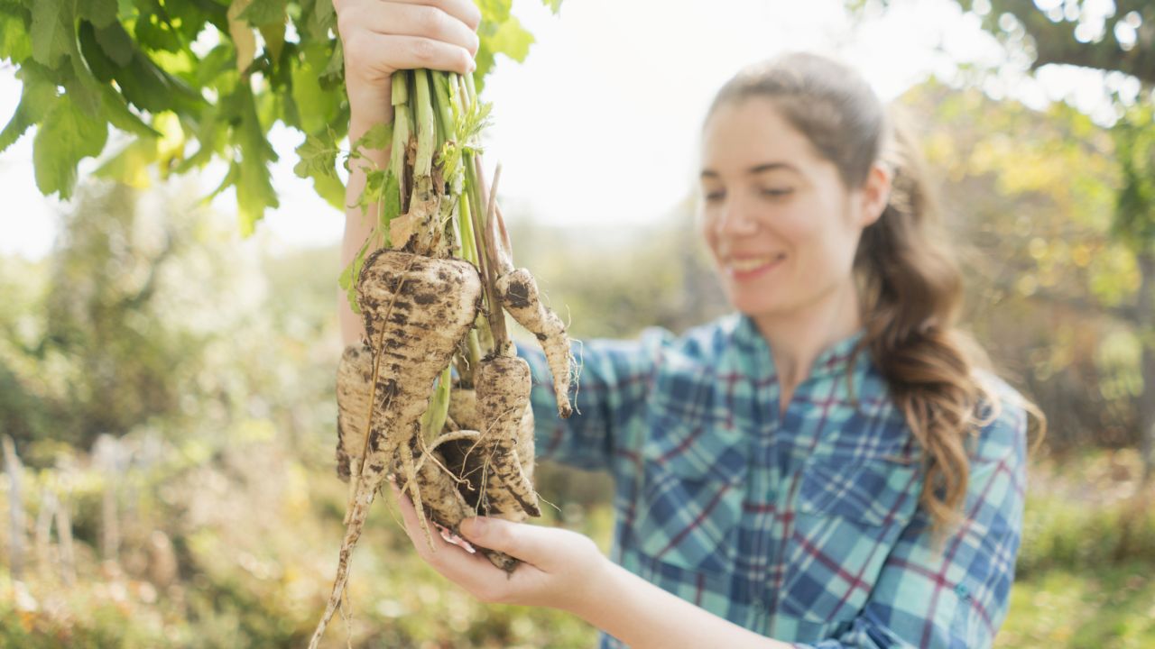 Nő egy csokor paszternákot tart