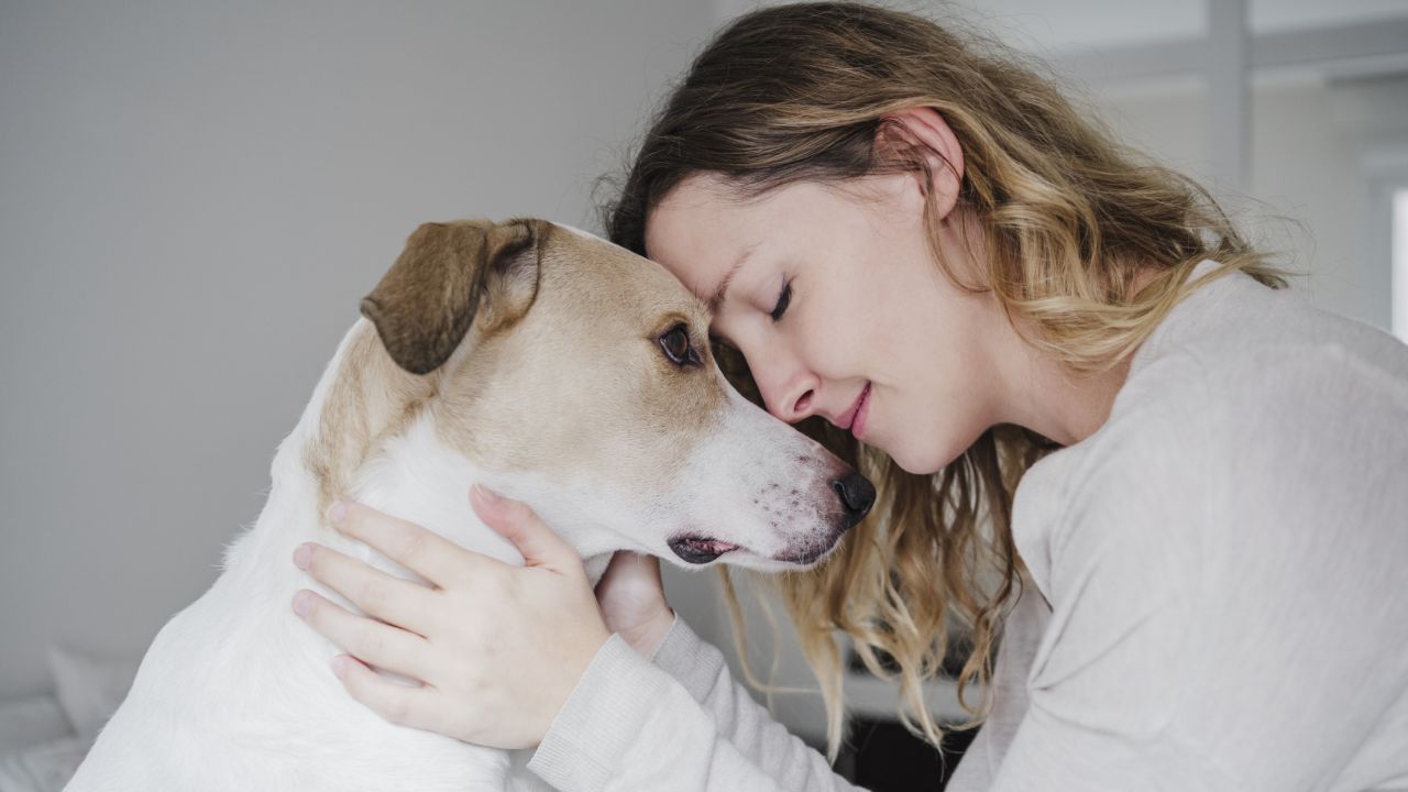 Ezt jelenti, ha a kutyád mindenhova követ