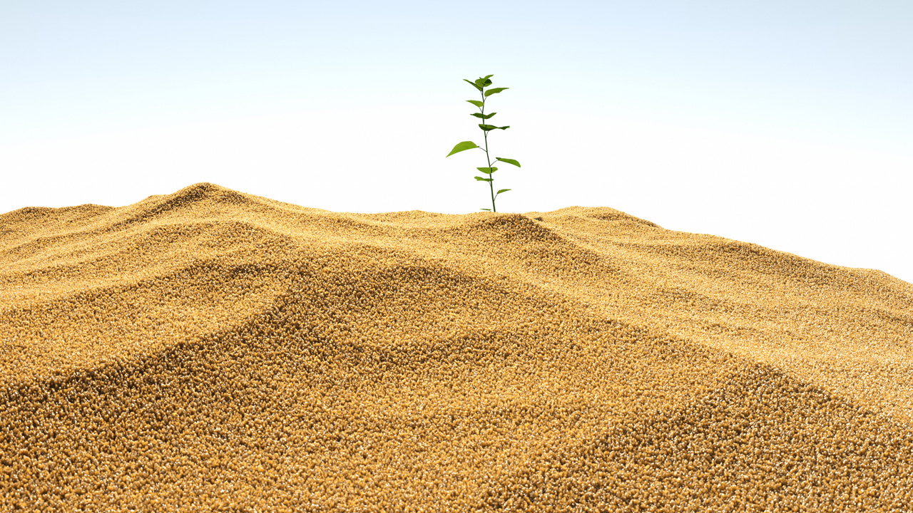 sivatag - fotó: Getty Images