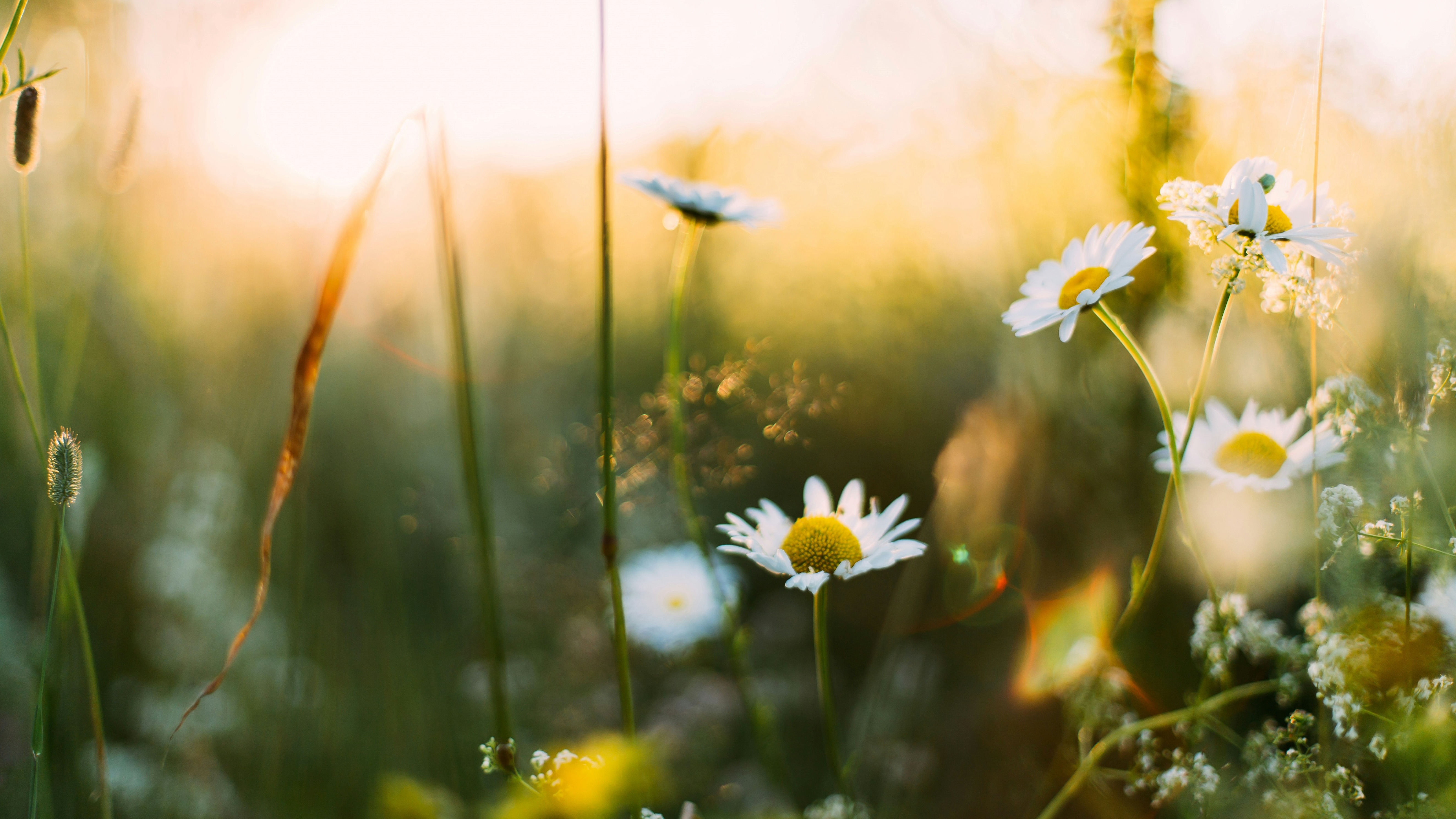 Drasztikus változás az időjárásban: a fagyok után megérkezik a tavaszias enyhülés