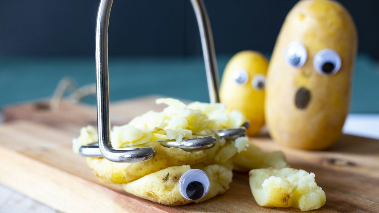 vicces krumplipüré, fotó: Unsplash