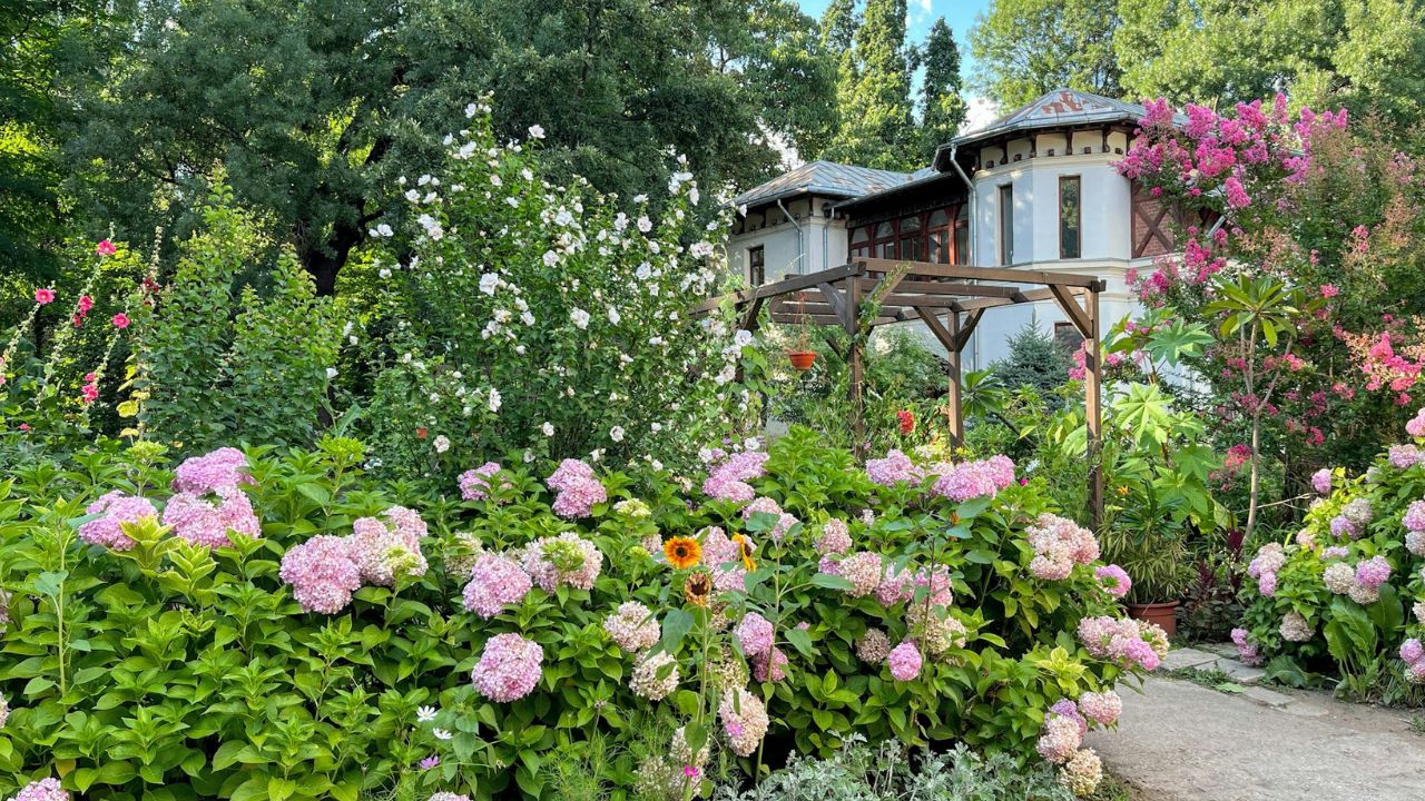 kert, fotó: Unsplash