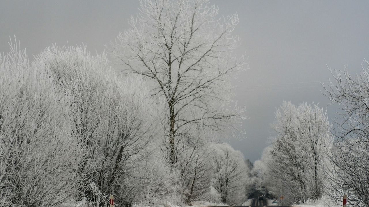 téli táj, fotó: Unsplash