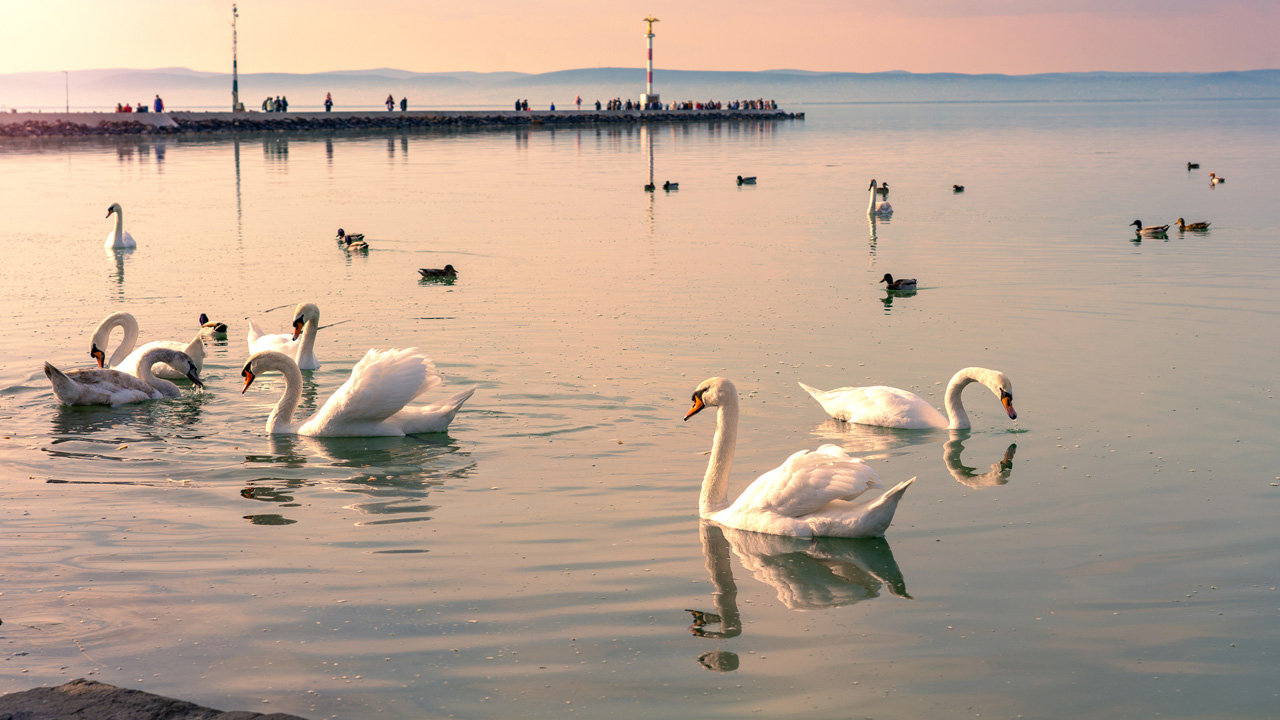 Balaton, fotó: Getty Images