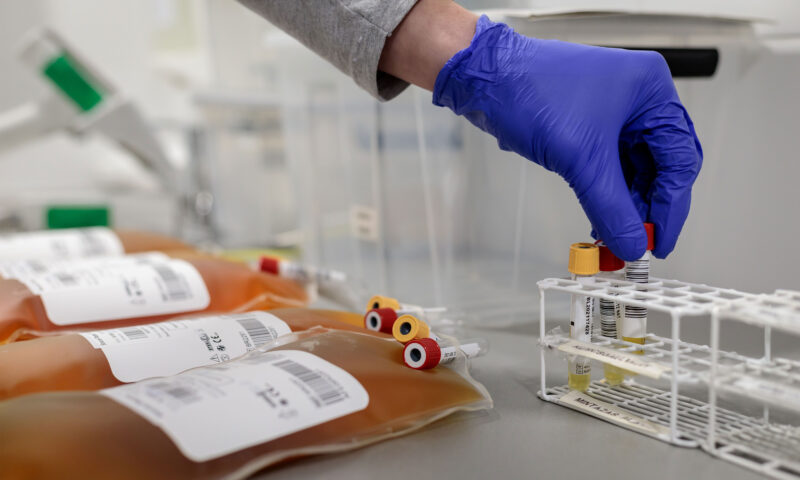 Vérplazma, amelyből később gyógyszereket készítenek / Fotó: BioLife
