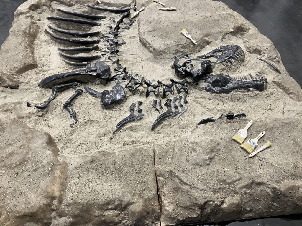 Dinócsontváz a Jurrasic Park világából.