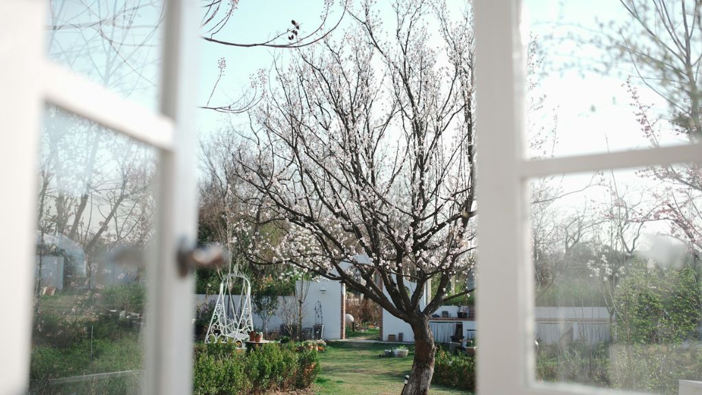 tavasz, nyitott ablak, fotó: Unsplash