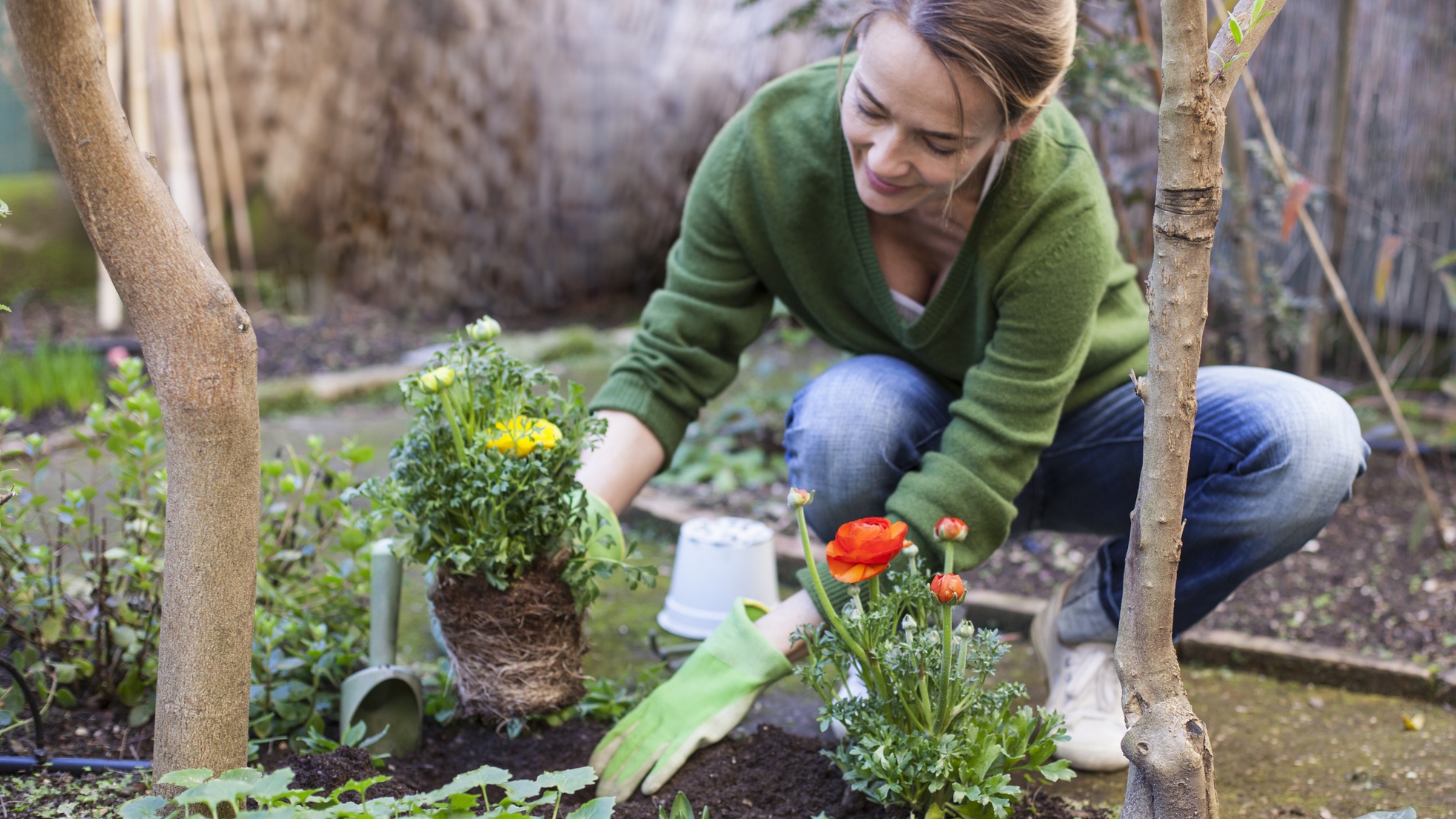 Márciusban ez a 13 fontos teendő vár rád a kertben és erkélyen – oázisként fogják meghálálni növényeid