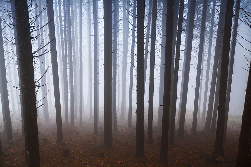 Ez volt az emberiség történetének legrosszabb éve, de végül mégsem jött el a világvége