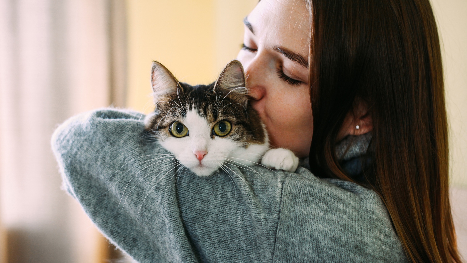 Nő macskát tart a karjaiban