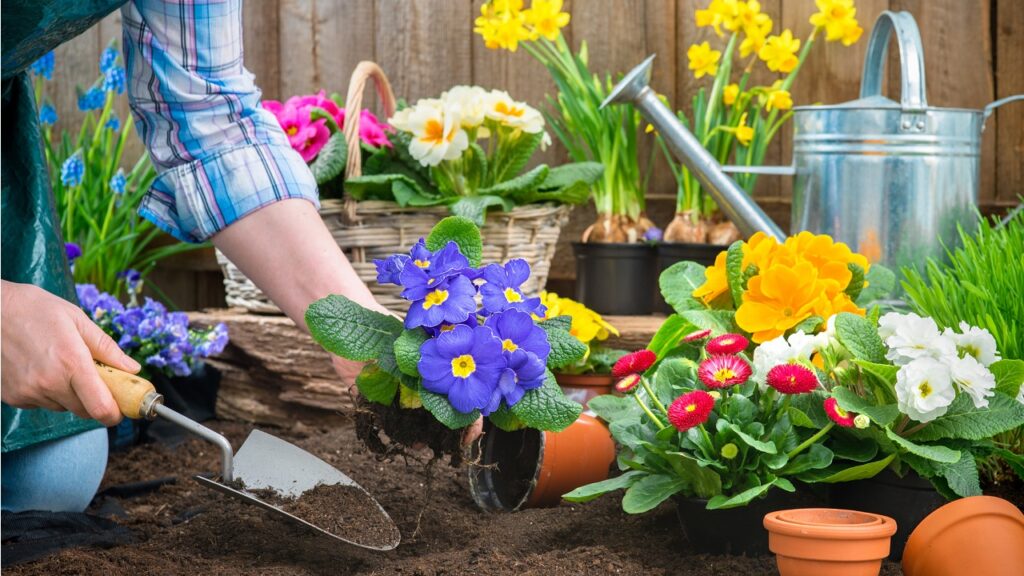 Márciusi kertészkedés: ezeket a növényeket most érdemes elültetni