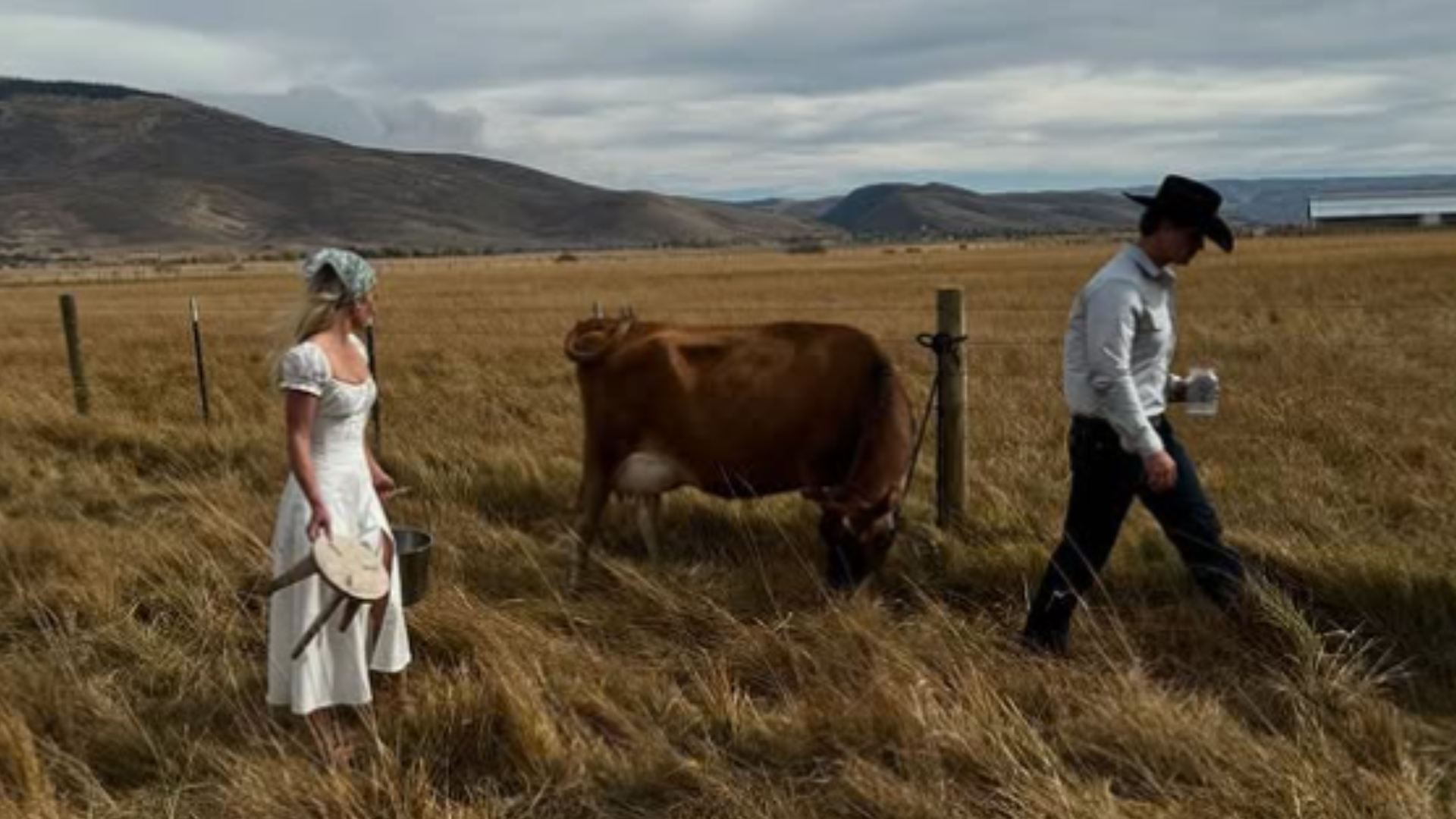 Idilli kép a farmon