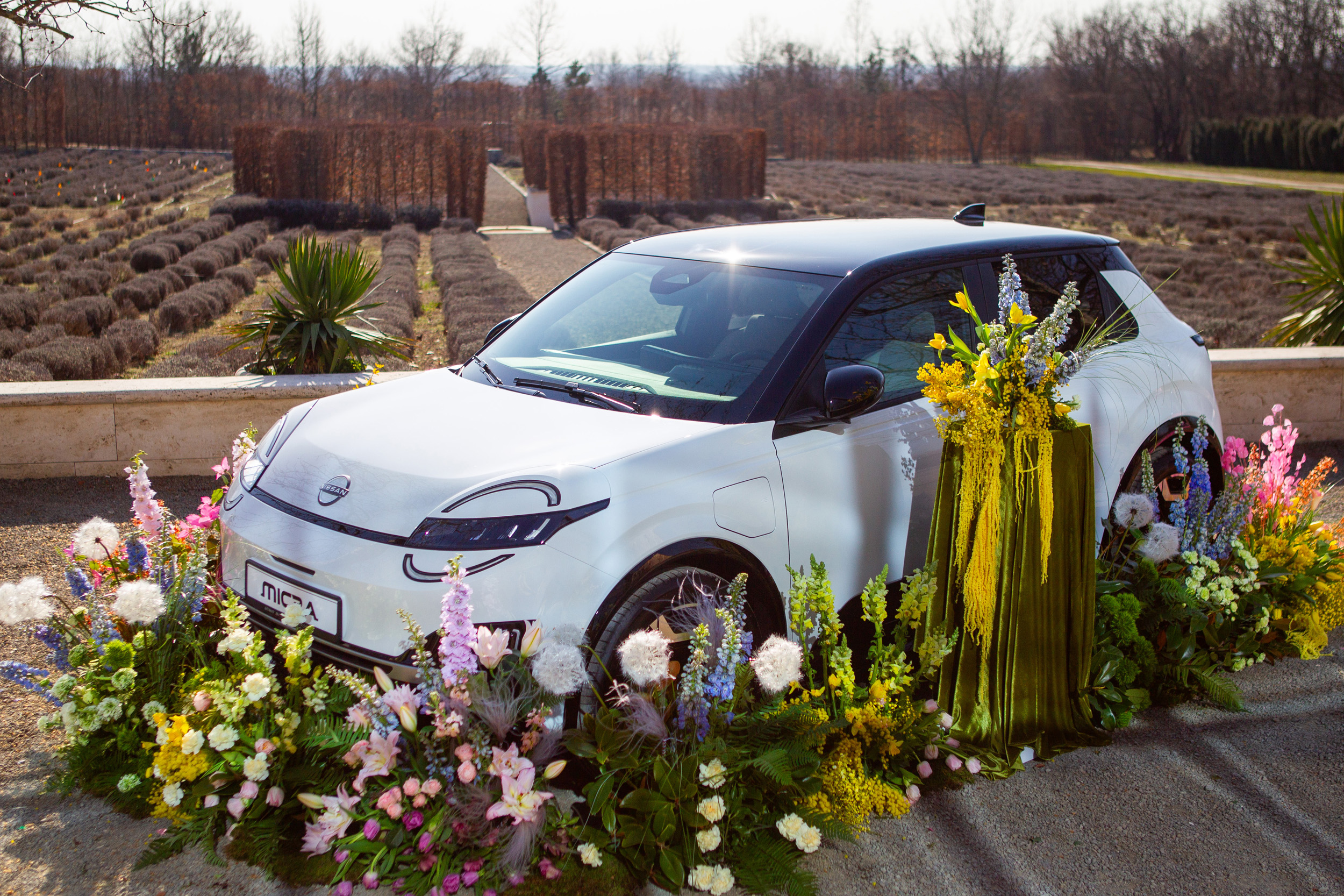 A hófehér színváltozat. Fotó: Leéb Ádám