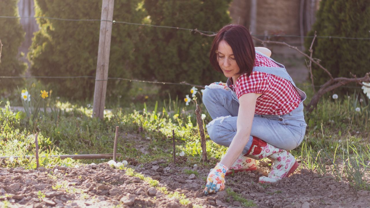 5 gyakori hiba, amit tavasszal szinte minden kerttulajdonos elkövet – A növények bánják