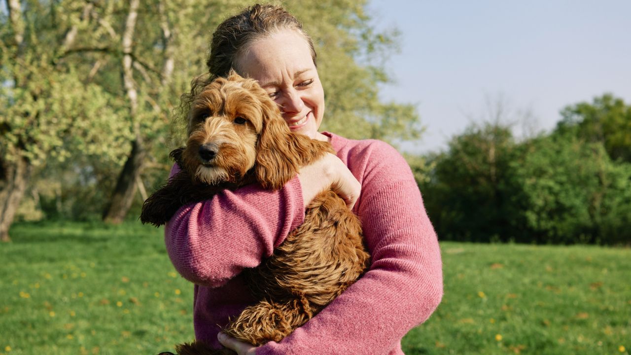 5 hiba, amit szinte minden kutyatartó elkövet tavasszal – Az egyik komoly bajt okozhat
