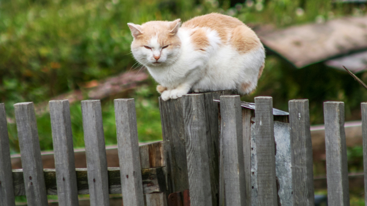 település - fotó: Getty Images