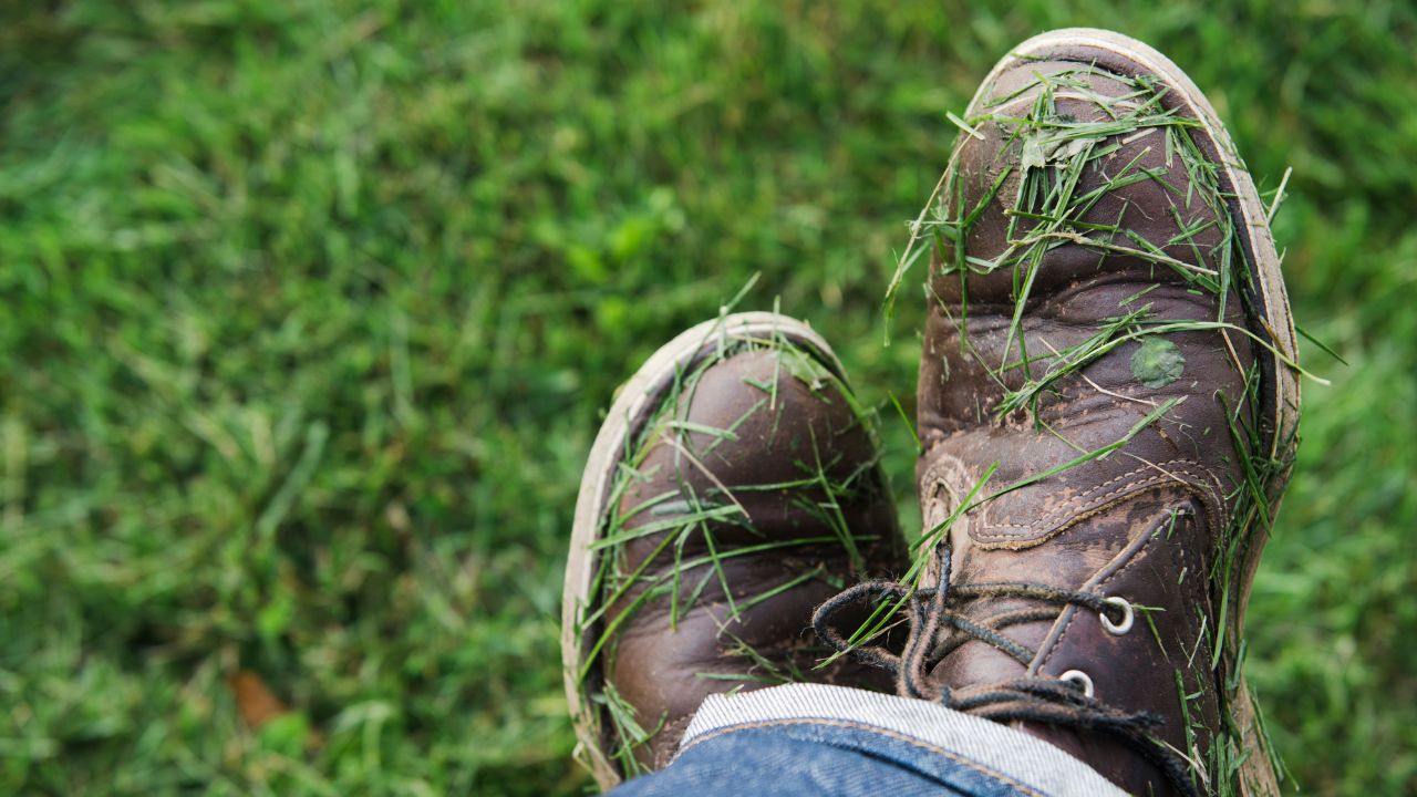 tavaszi fűnyírás, füves cipő, fotó: Unsplash
