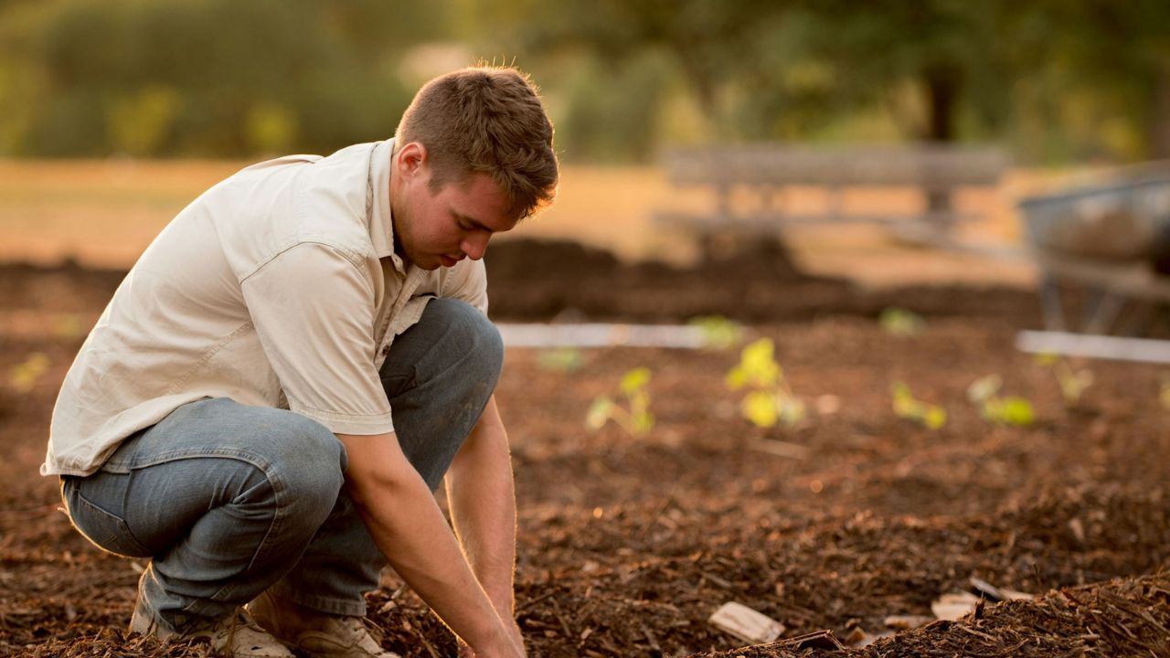 kert felásása, fotó: Unsplash