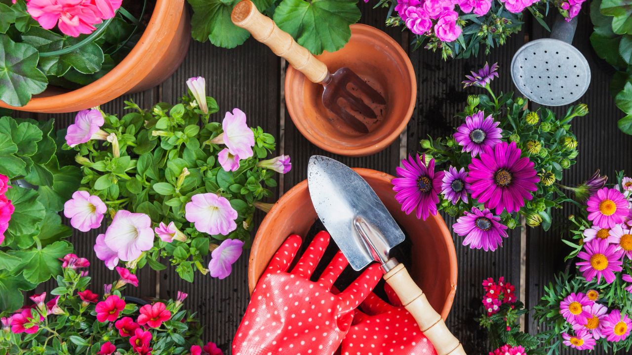 tavaszi kertészkedés, fotó: Getty images
