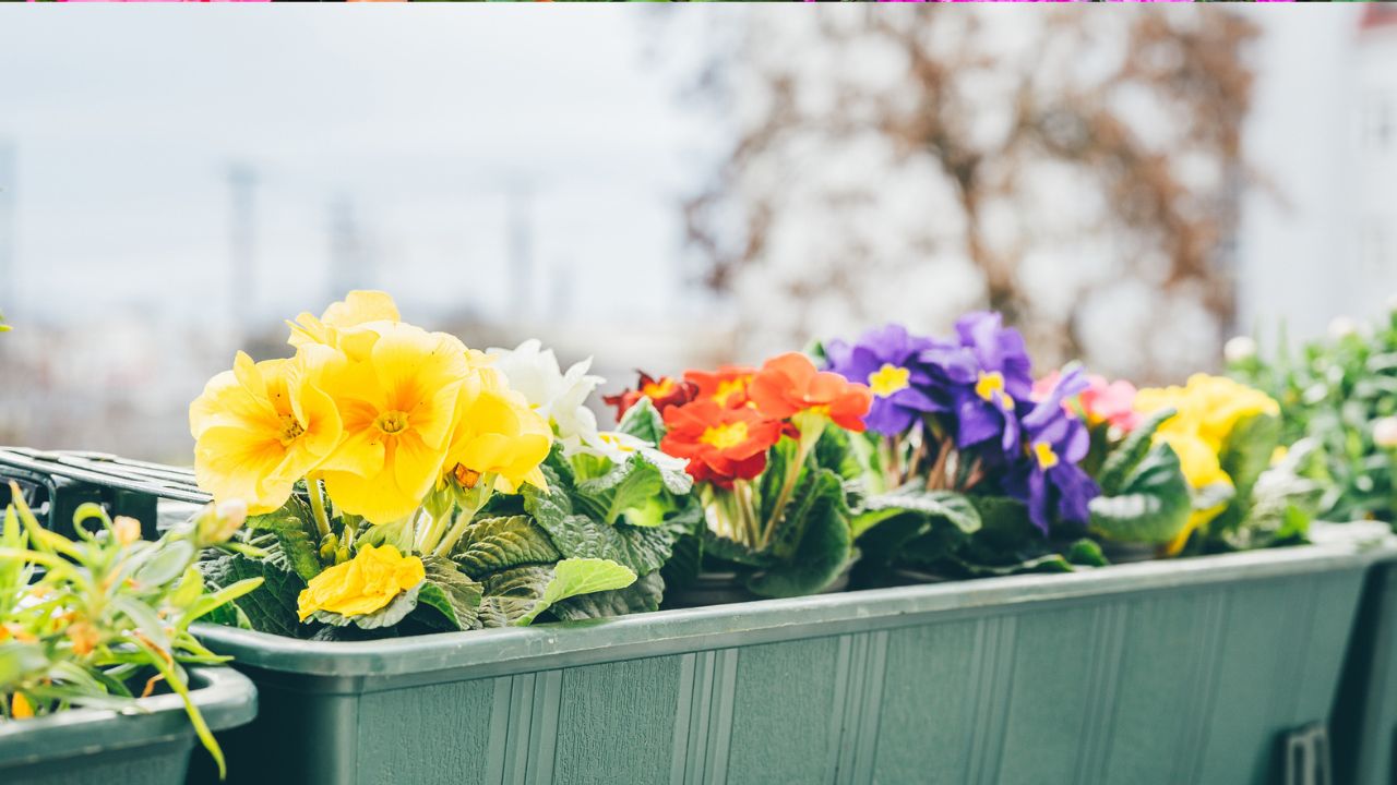 balkonláda, fotó: Getty Images