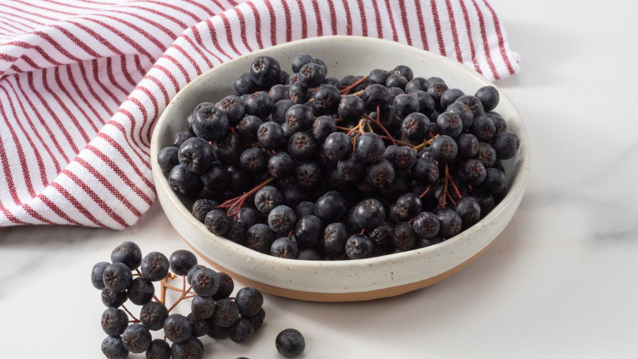 fekete berkenye, fotó: Getty Images