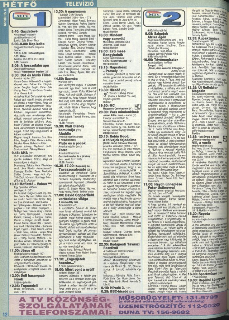 1996-os tévéműsor