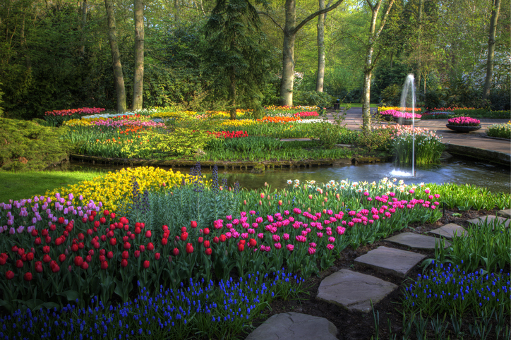 Keukenhof