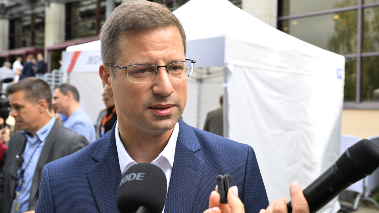 Gulyás Gergely
