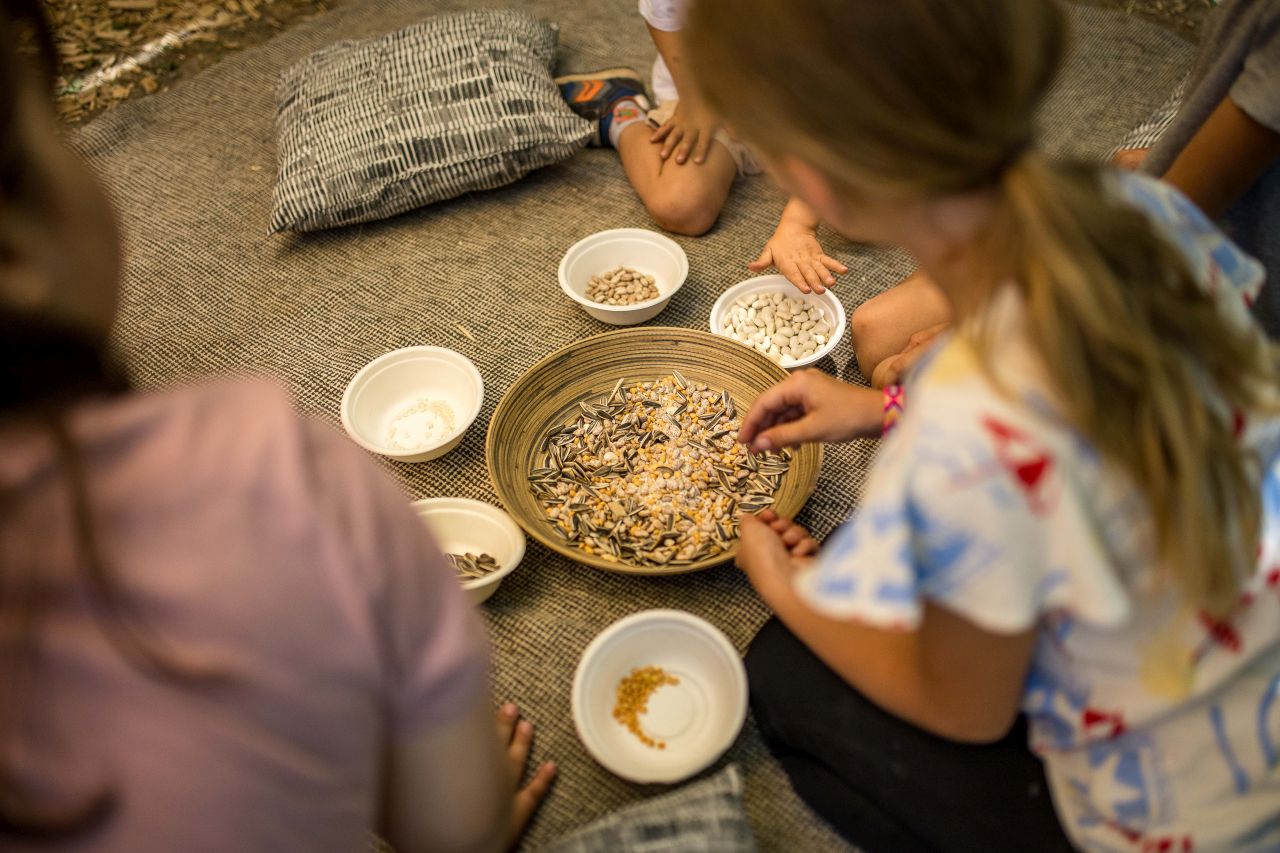 Gyereksziget Hamupipőke feladat
