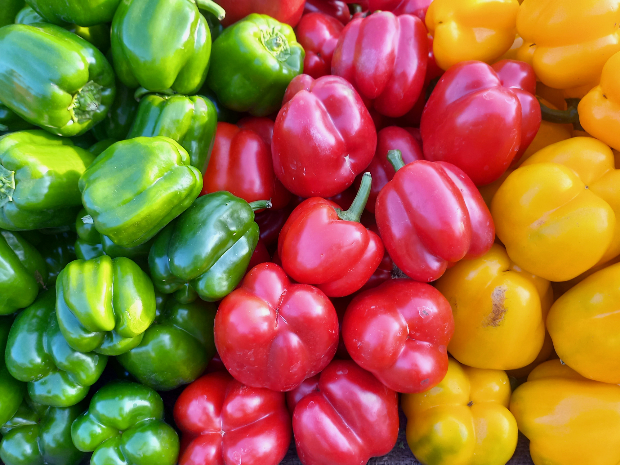 Kaliforniai paprika