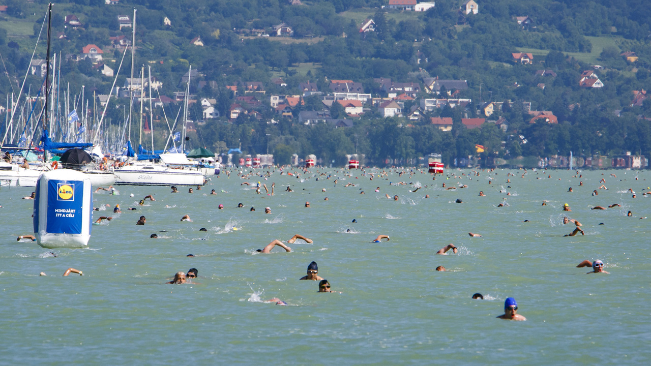 Balaton-átúszás