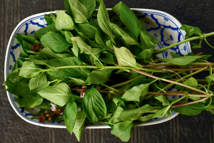 Thai bazsalikom