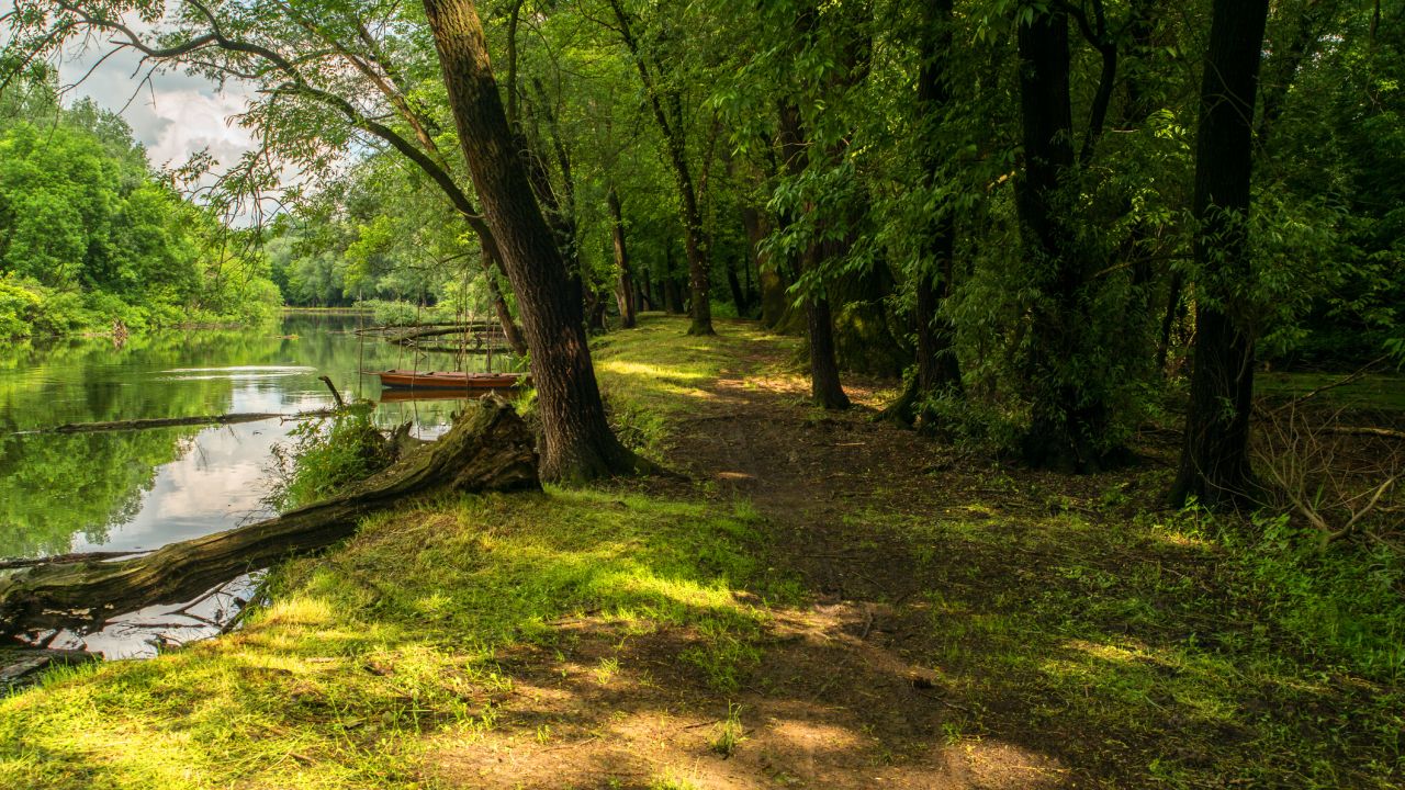 Gemenci erdő
